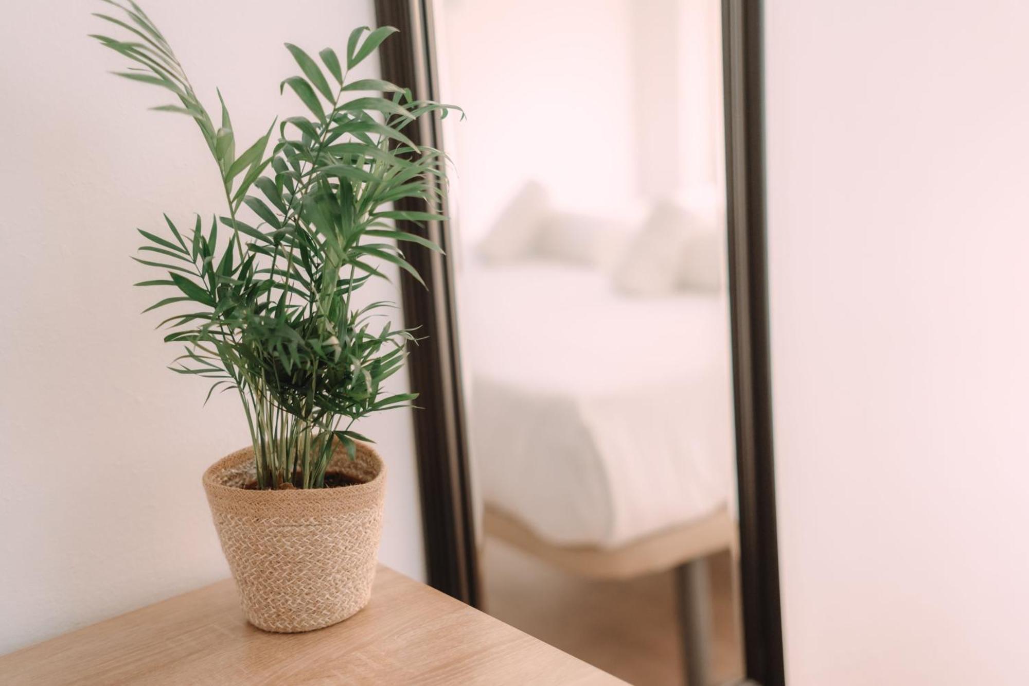 Concept Rooms บาเลนเซีย ภายนอก รูปภาพ